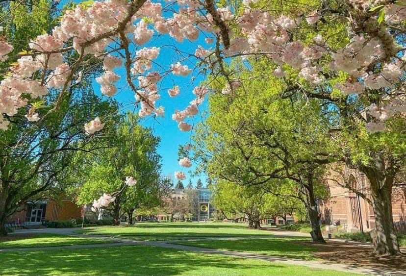 university of oregon visit days