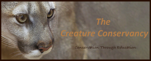 The Creature Conservancy Ann Arbor