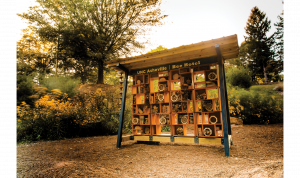 The Bee Hotel Asheville