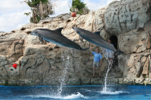 Texas State Aquarium