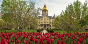 The Golden Dome Notre Dame